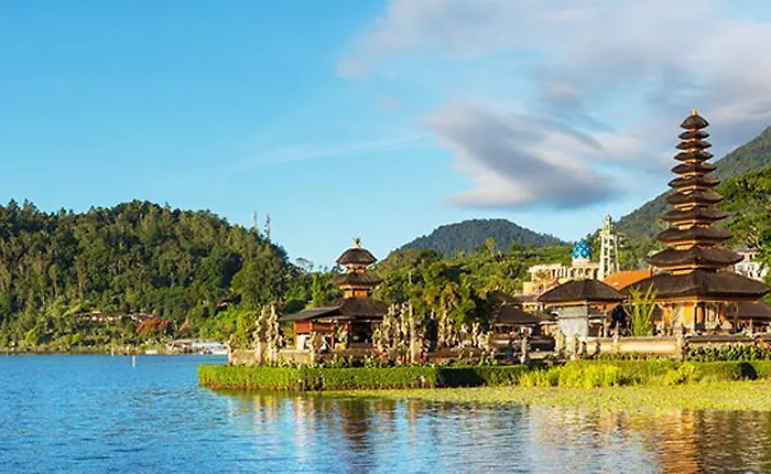 Zen Bidadari